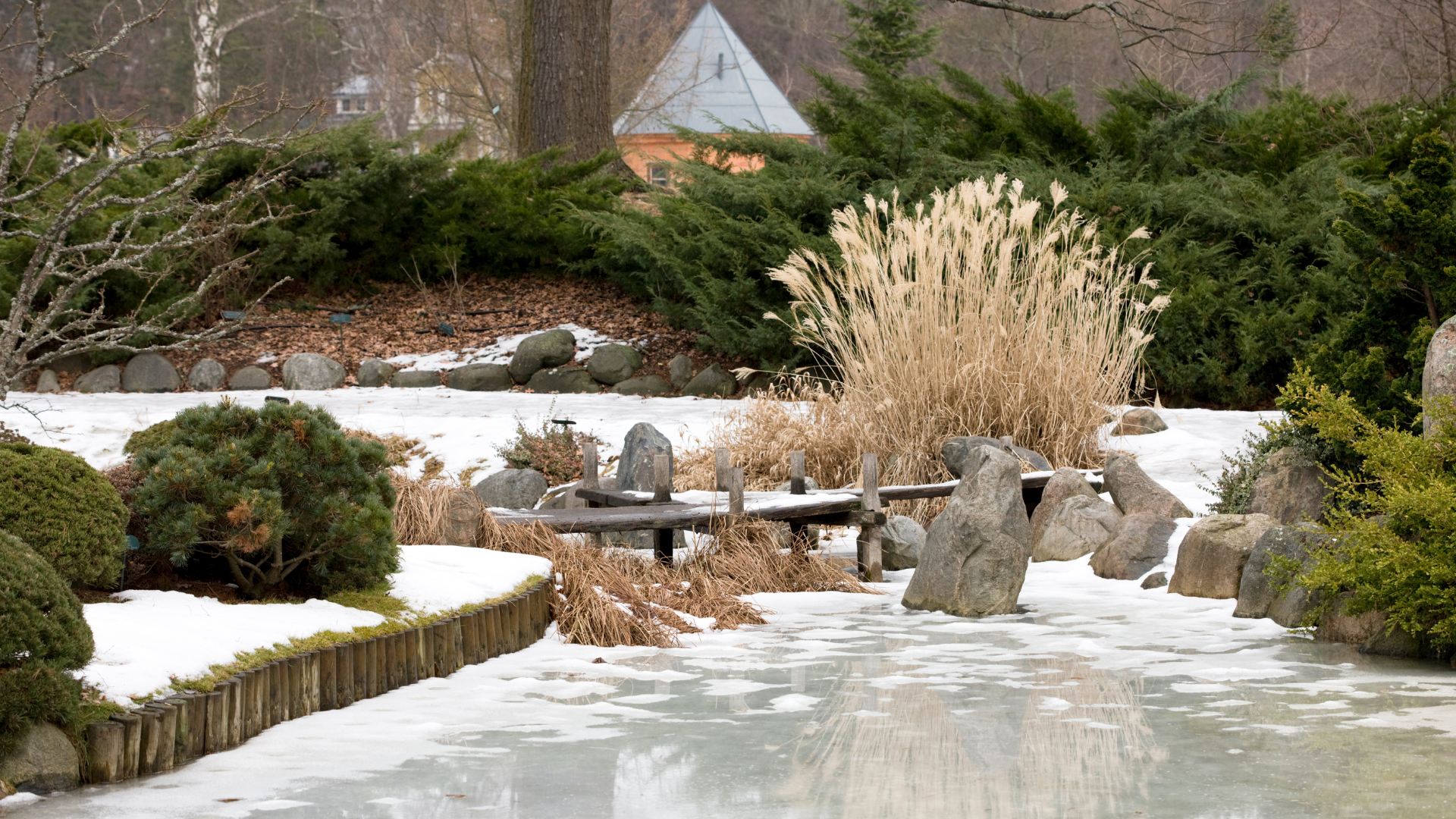 jardin aménagé en hiver