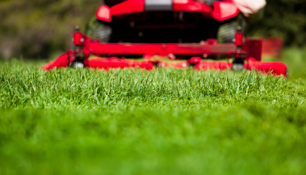 conseils premiere tonte